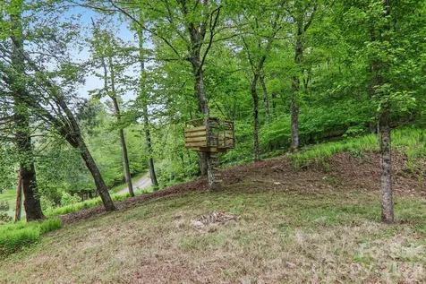 210 Spring Valley Drive Mars Hill NC 28754