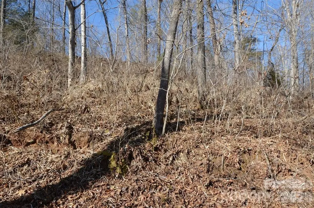 000 E Rambling Creek Road Tryon NC 28782