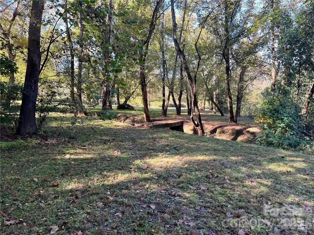 000 E Rambling Creek Road Tryon NC 28782