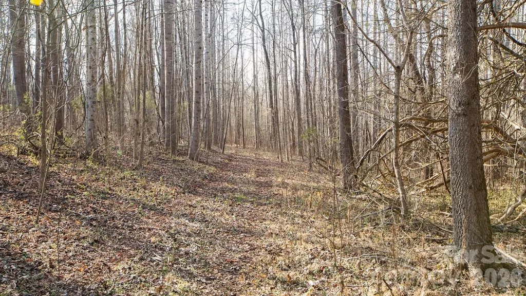 Tbd Upright Road Mt Ulla NC 28125