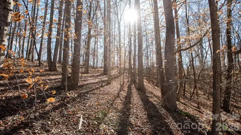 Tbd Upright Road Mt Ulla NC 28125