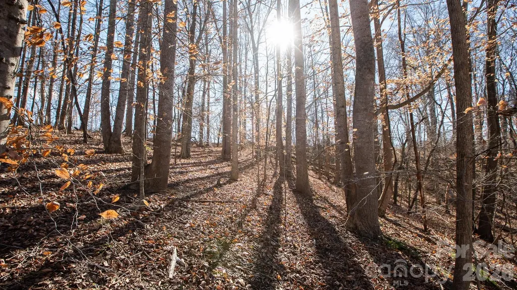 530 Upright Road Mt Ulla NC 28125