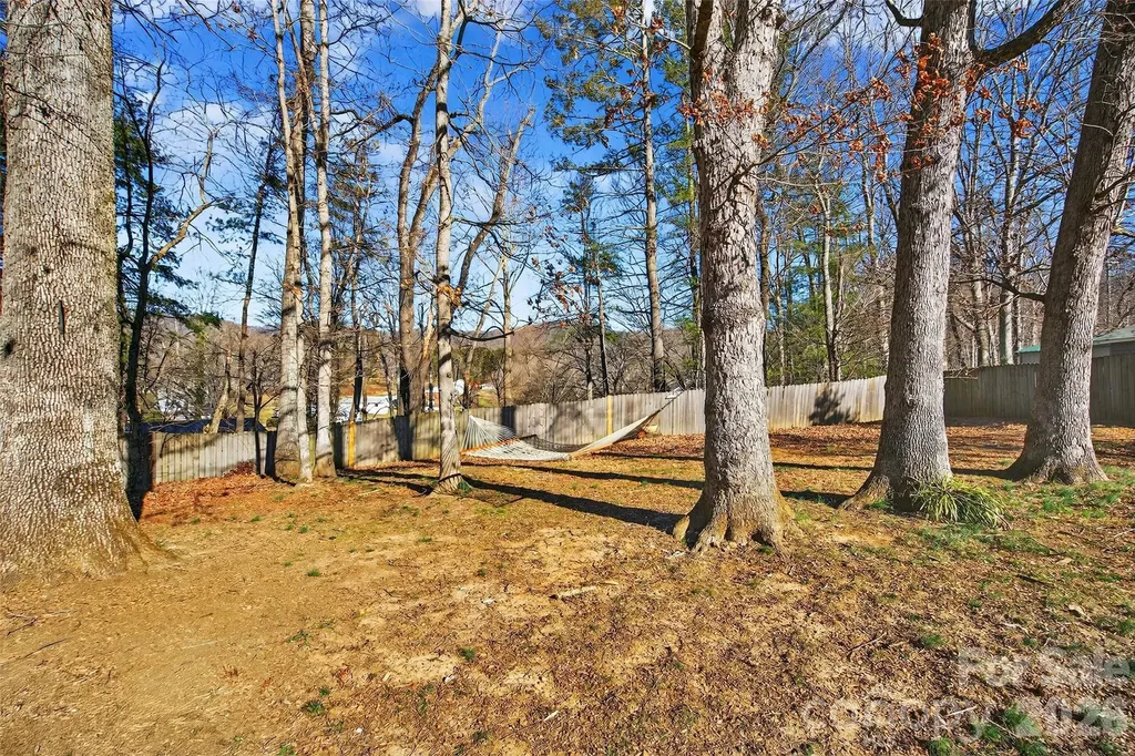 107 High Street Black Mountain NC 28711