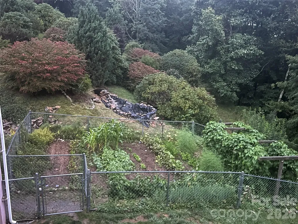 2778 Mule Stomp Road Hot Springs NC 28721