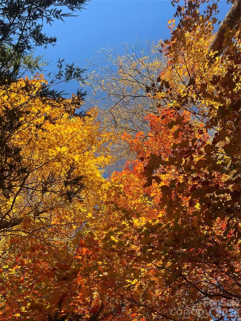 2778 Mule Stomp Road Hot Springs NC 28721