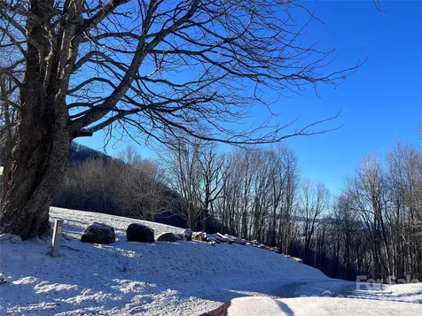 2778 Mule Stomp Road Hot Springs NC 28721