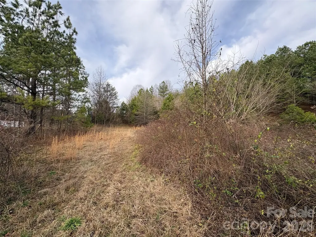 0 Scroggs Cemetery Road Statesville NC 28677