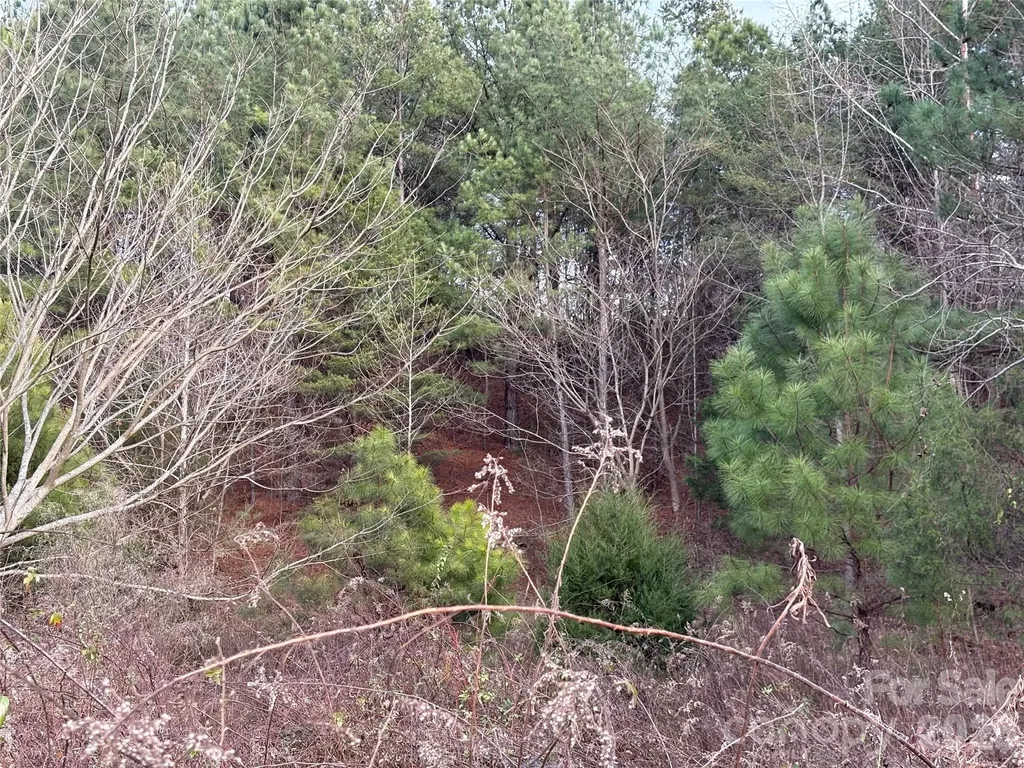 0 Scroggs Cemetery Road Statesville NC 28677