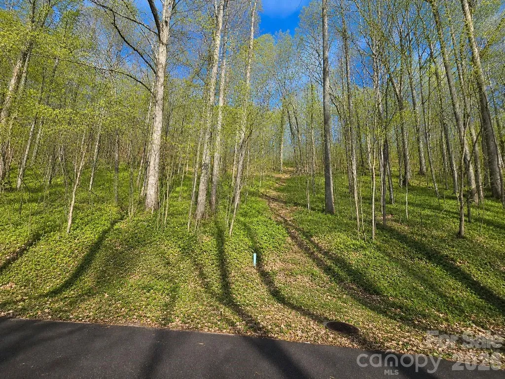 455 Mountain Watch Drive Waynesville NC 28785