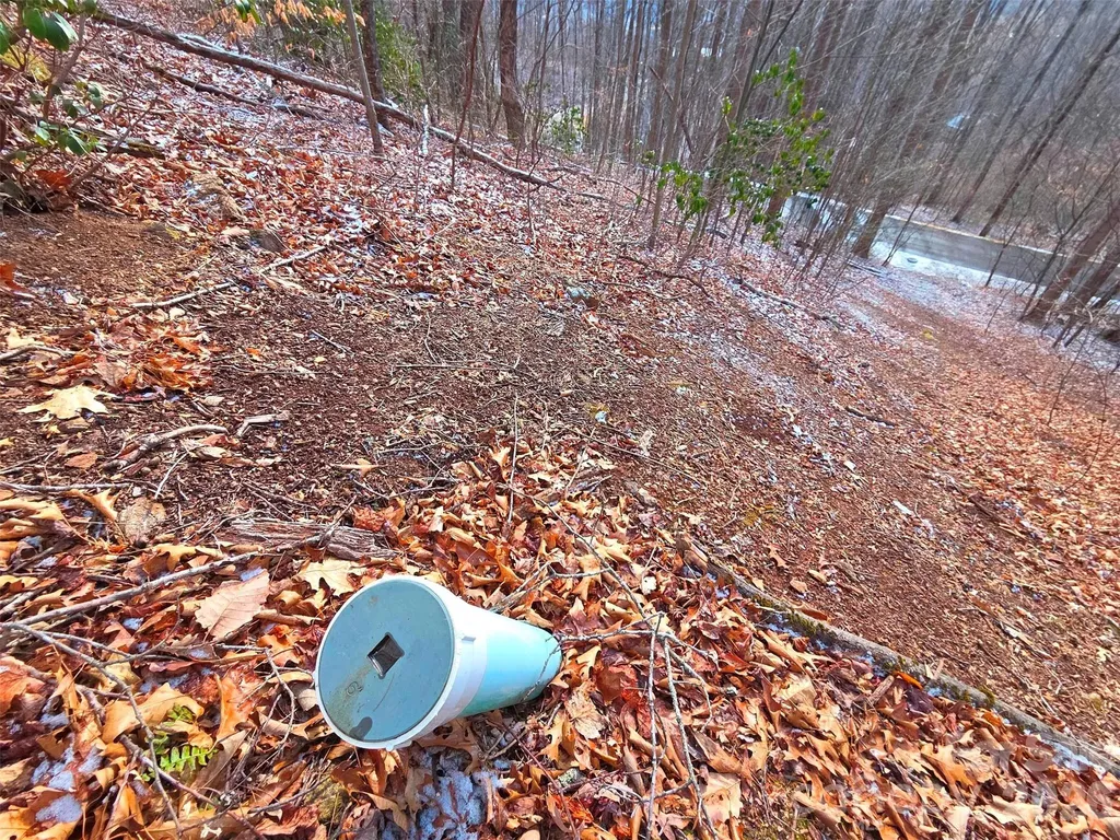 455 Mountain Watch Drive Waynesville NC 28785