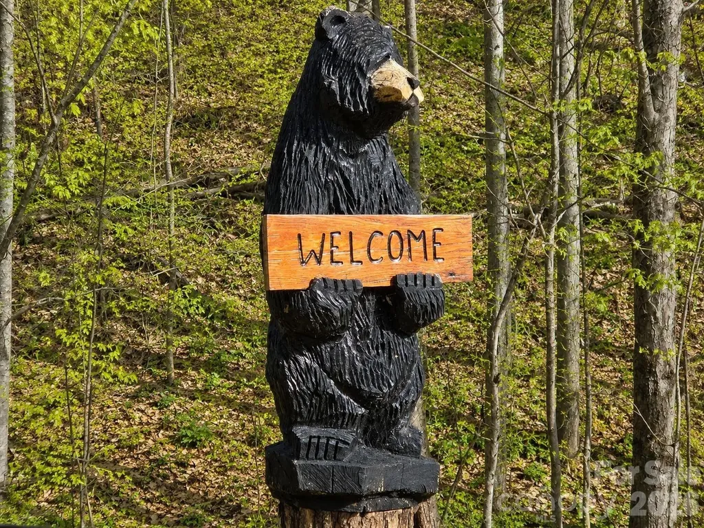 455 Mountain Watch Drive Waynesville NC 28785