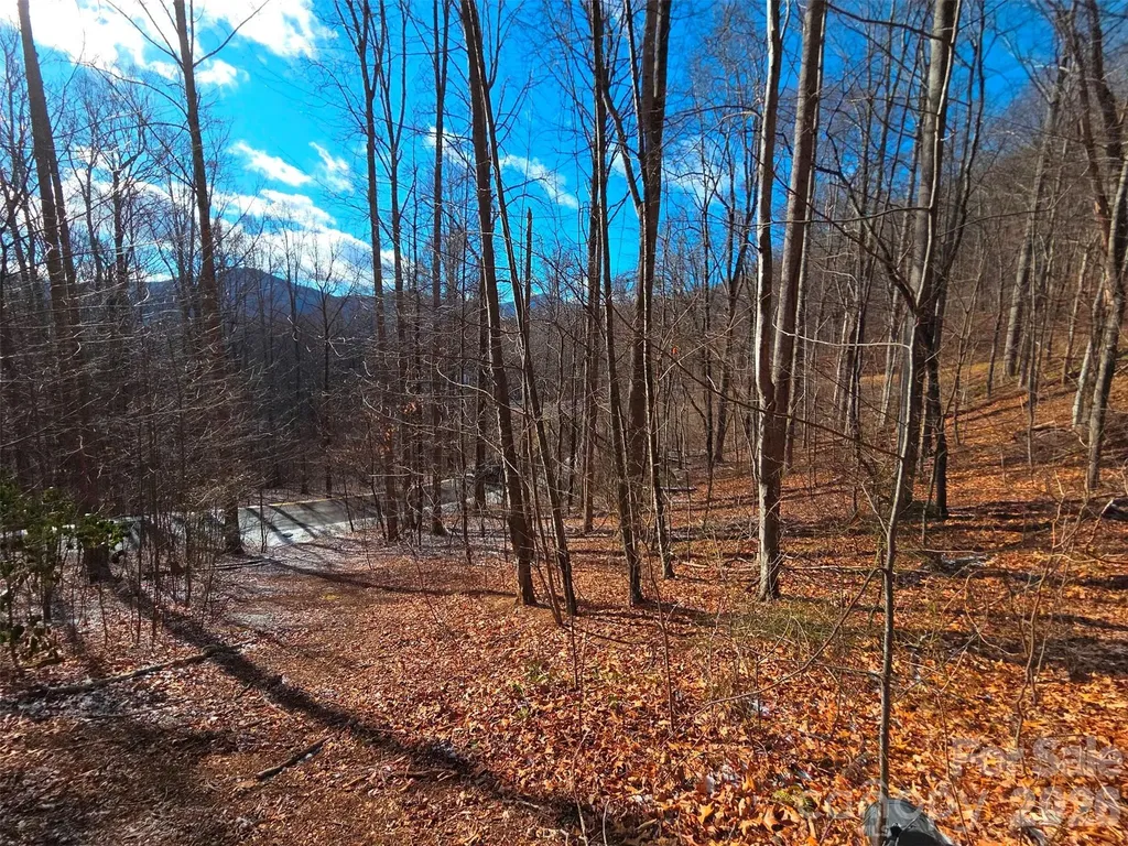 455 Mountain Watch Drive Waynesville NC 28785