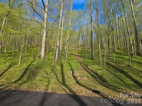 455 Mountain Watch Drive Waynesville NC 28785