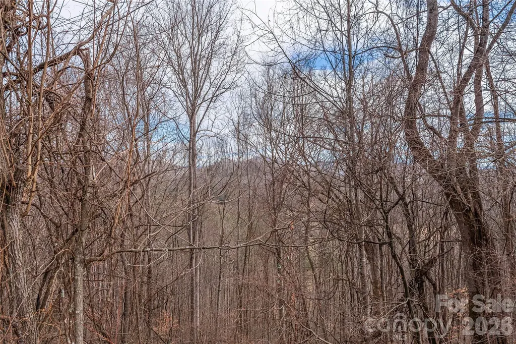 00 Point Of View Drive Waynesville NC 28785