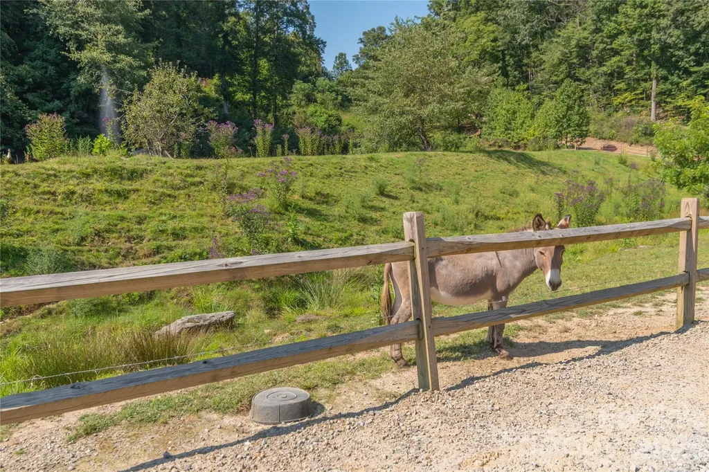 00 Curry Comb Trail Waynesville NC 28785