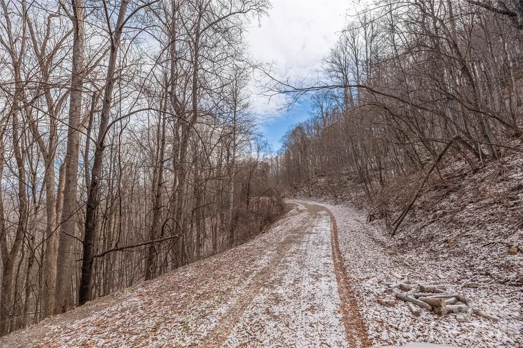 00 Curry Comb Trail Waynesville NC 28785
