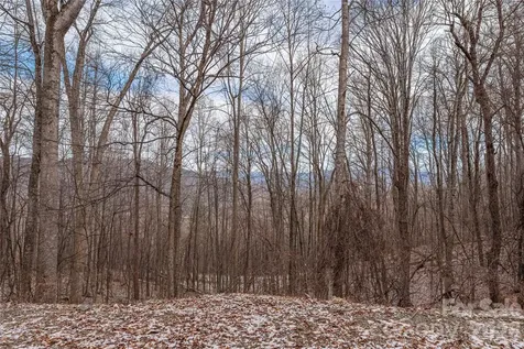 00 Curry Comb Trail Waynesville NC 28785