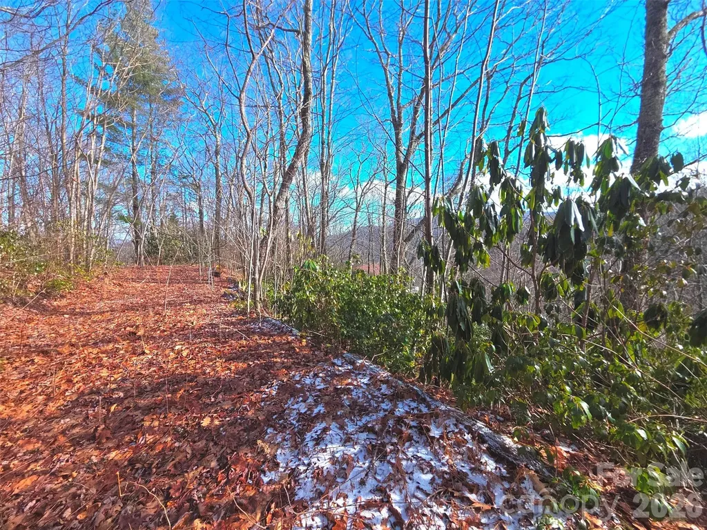 550 Sky Drive Maggie Valley NC 28751