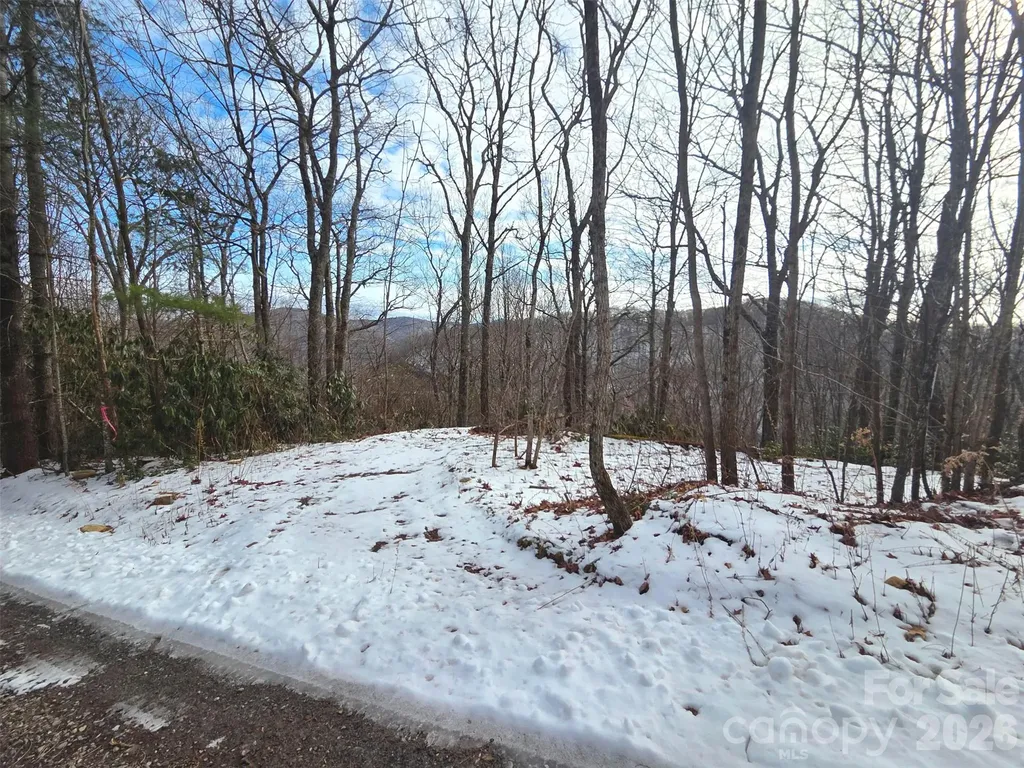550 Sky Drive Maggie Valley NC 28751