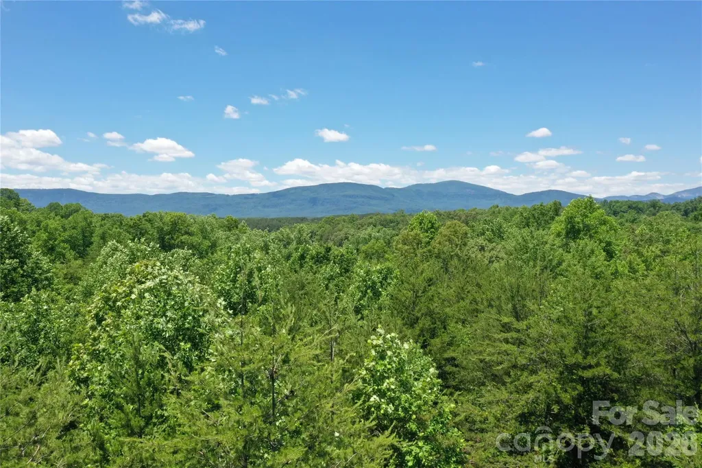 0 Burt Blackwell Road Mill Spring NC 28756