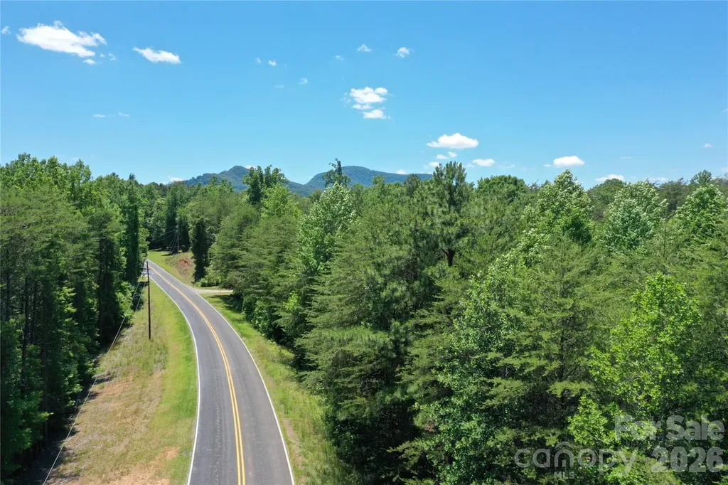 0 Burt Blackwell Road Mill Spring NC 28756