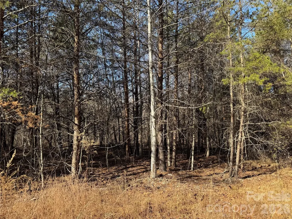 0 Burt Blackwell Road Mill Spring NC 28756