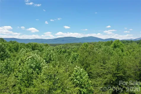 0 Burt Blackwell Road Mill Spring NC 28756