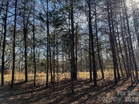 0 Burt Blackwell Road Mill Spring NC 28756