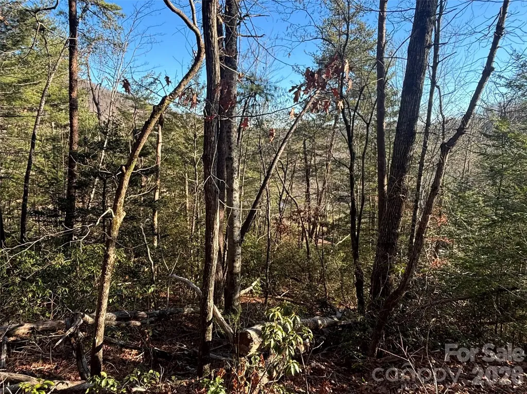 Lot 19 Nicklaus Lane Lake Lure NC 28746