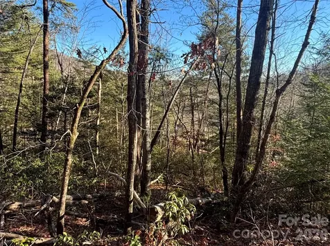 Lot 19 Nicklaus Lane Lake Lure NC 28746