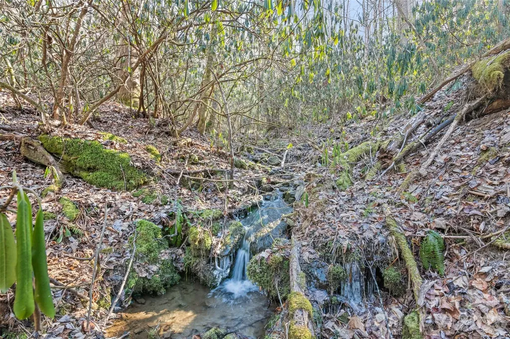 831 Forest Run Road Whittier NC 28789
