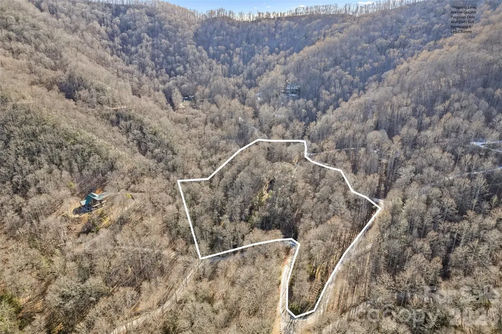 831 Forest Run Road Whittier NC 28789