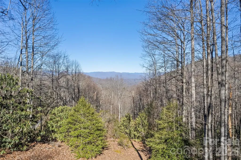 831 Forest Run Road Whittier NC 28789