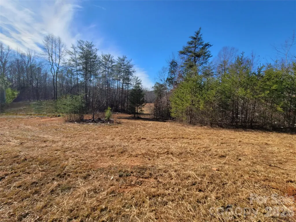 0 Smith Waldrop Road Columbus NC 28722