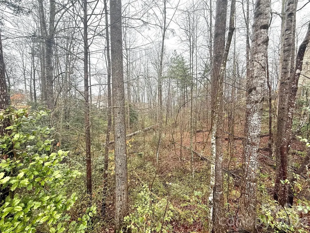 5136 Mark Drive NE Hickory NC 28601