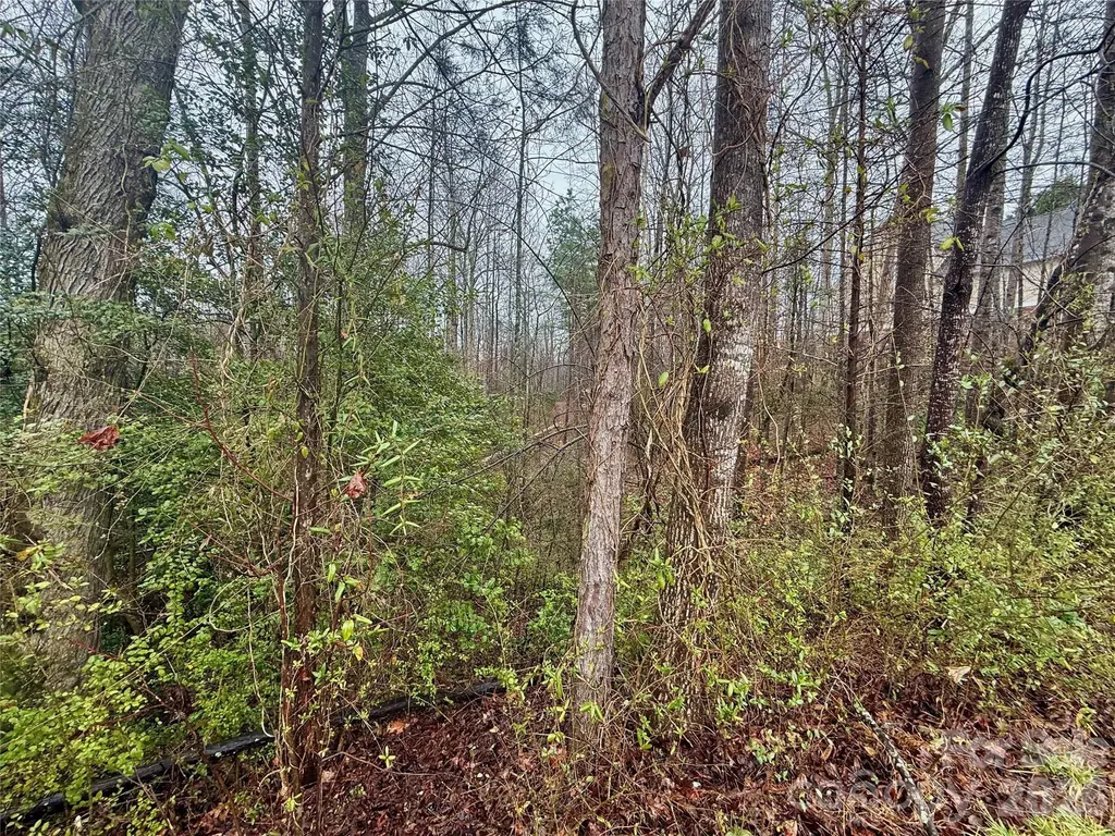 5136 Mark Drive NE Hickory NC 28601