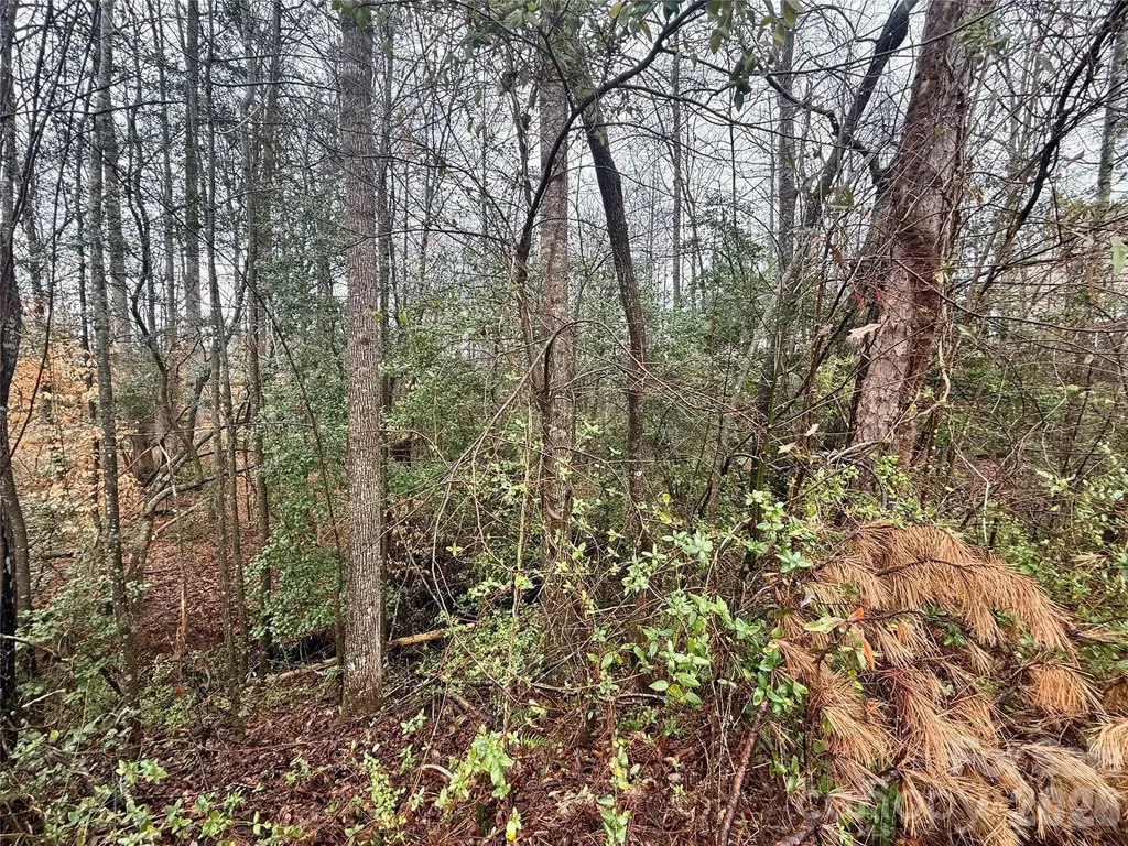 5126 Mark Drive NE Hickory NC 28601