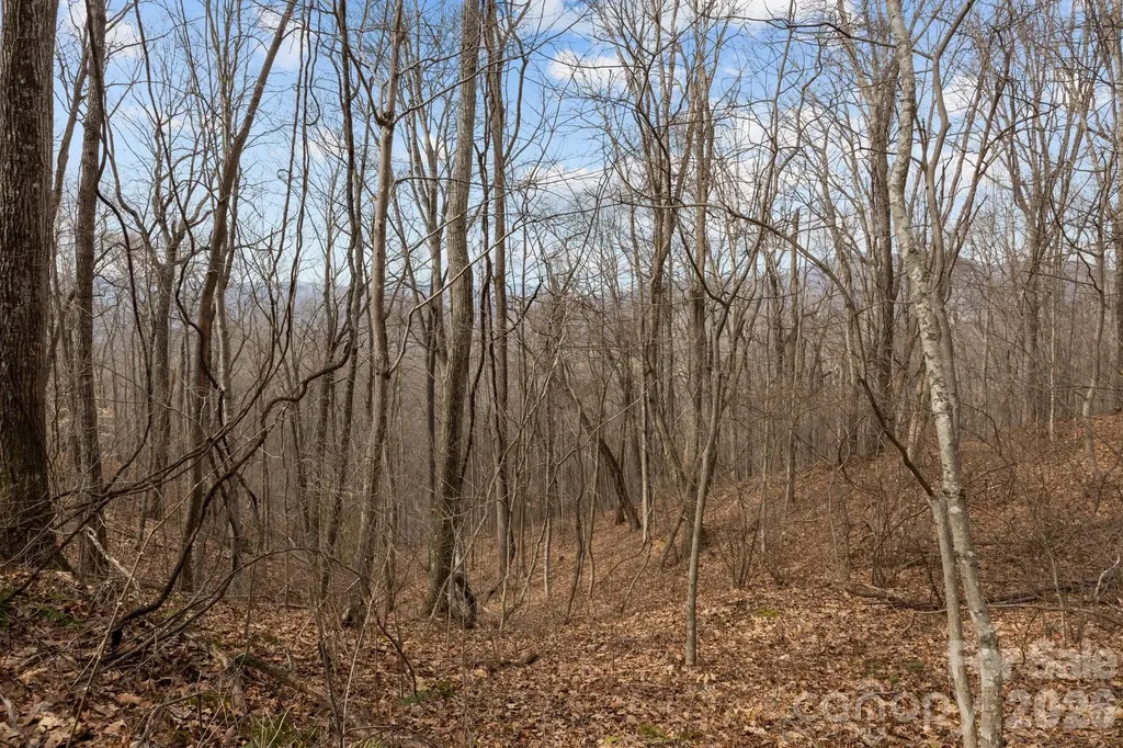 99999 Haynes Cove Clyde NC 28721