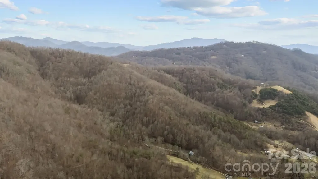99999 Haynes Cove Clyde NC 28721