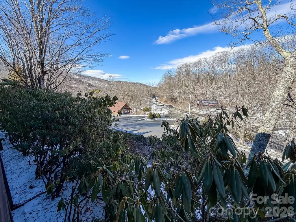174 Grouse Moor Drive Sugar Mountain NC 28604