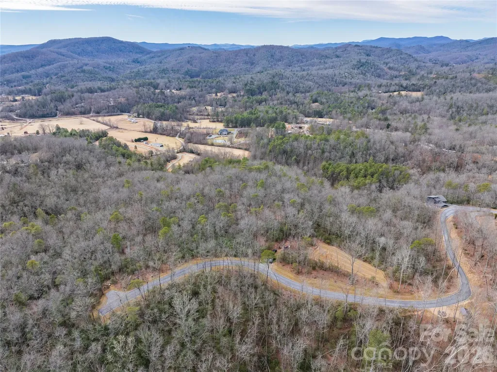 Tract 4 Turtle Ridge Trail Mills River NC 28759
