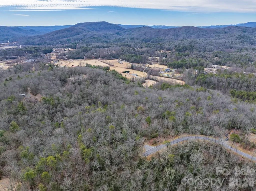 Tract 4 Turtle Ridge Trail Mills River NC 28759