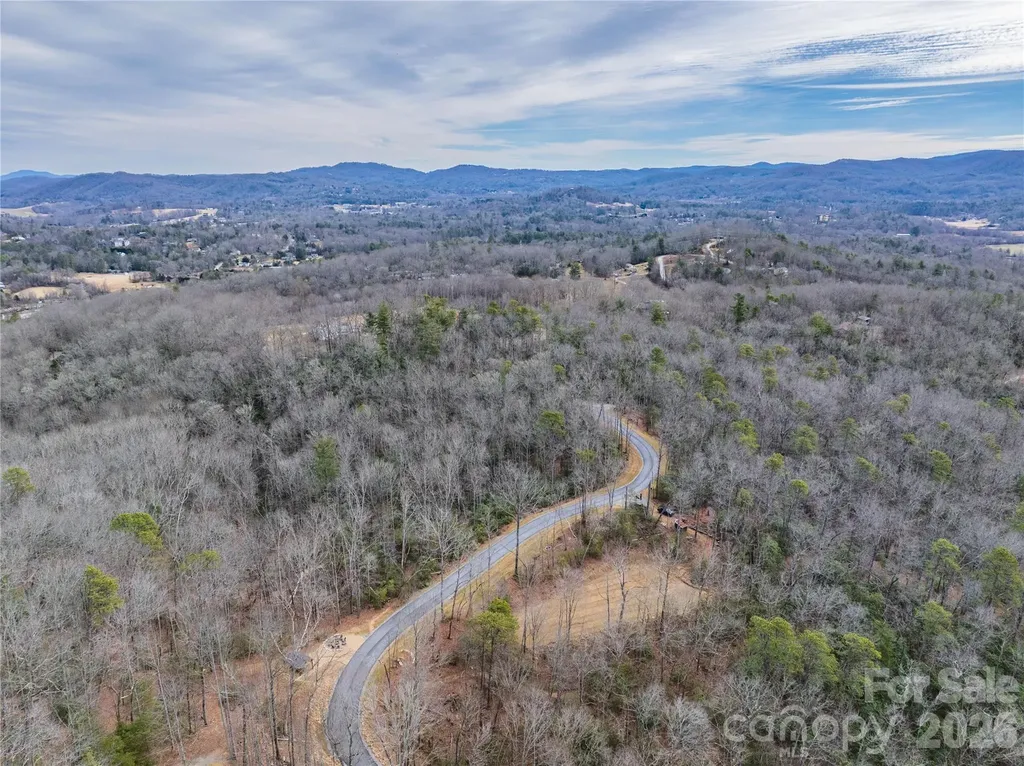Tract 4 Turtle Ridge Trail Mills River NC 28759