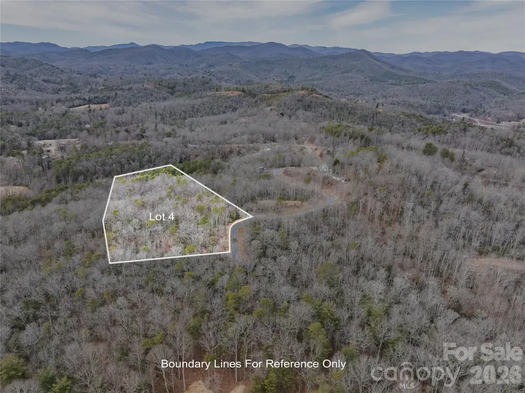 Tract 4 Turtle Ridge Trail Mills River NC 28759