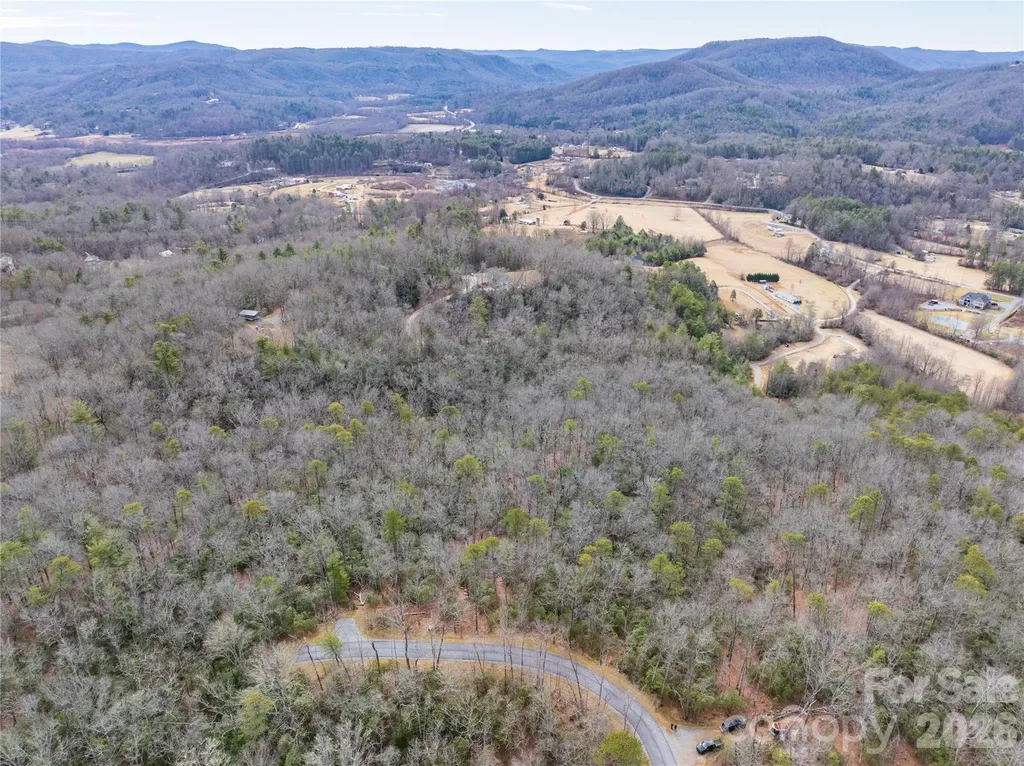 Tract 4 Turtle Ridge Trail Mills River NC 28759