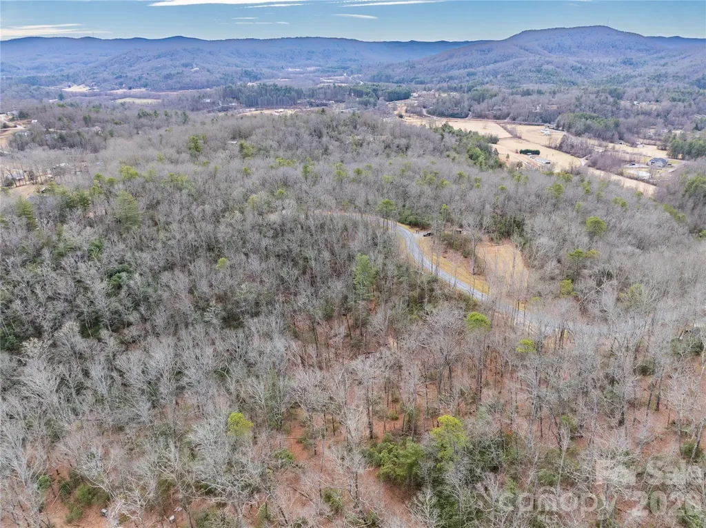 Tract 4 Turtle Ridge Trail Mills River NC 28759