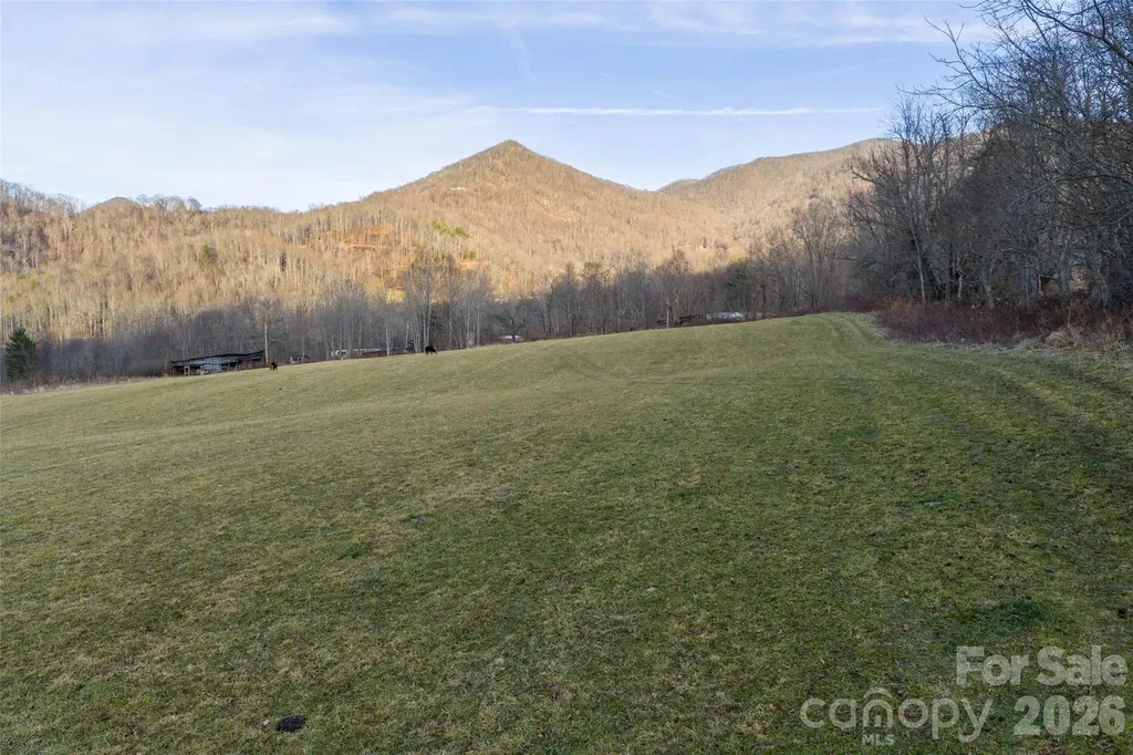 00 Poplar Cove Road Clyde NC 28721