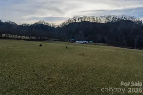 00 Poplar Cove Road Clyde NC 28721