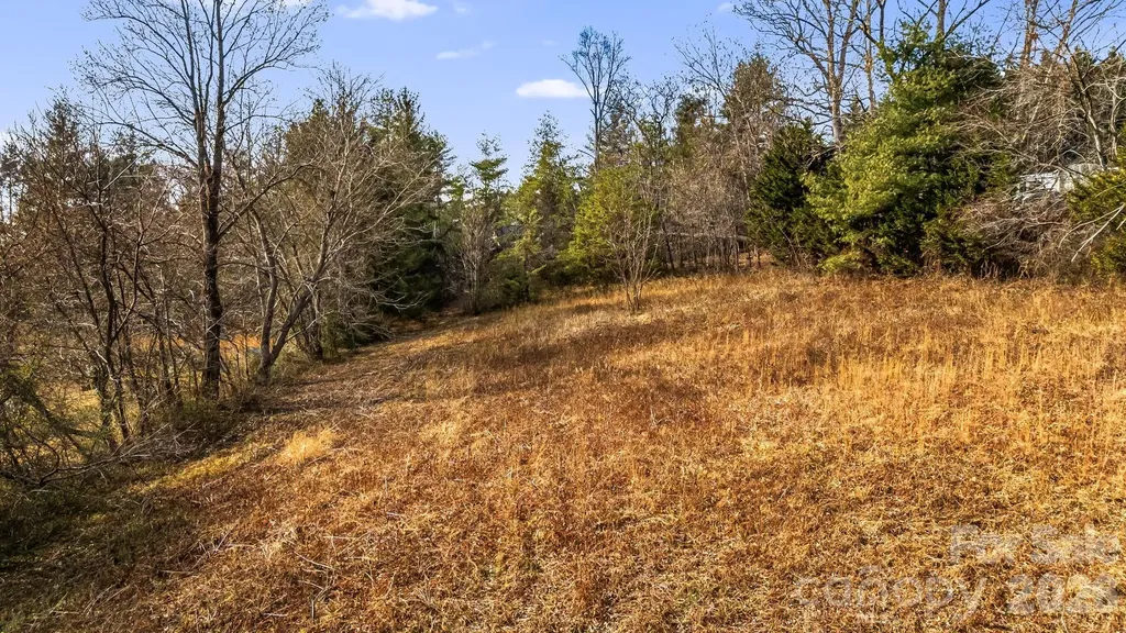 1236 Upper Brush Creek Road Fairview NC 28730