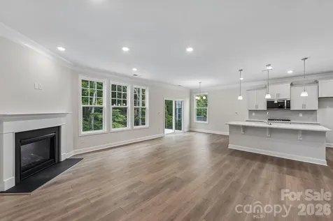 167 Asmodean Lane Troutman NC 28166